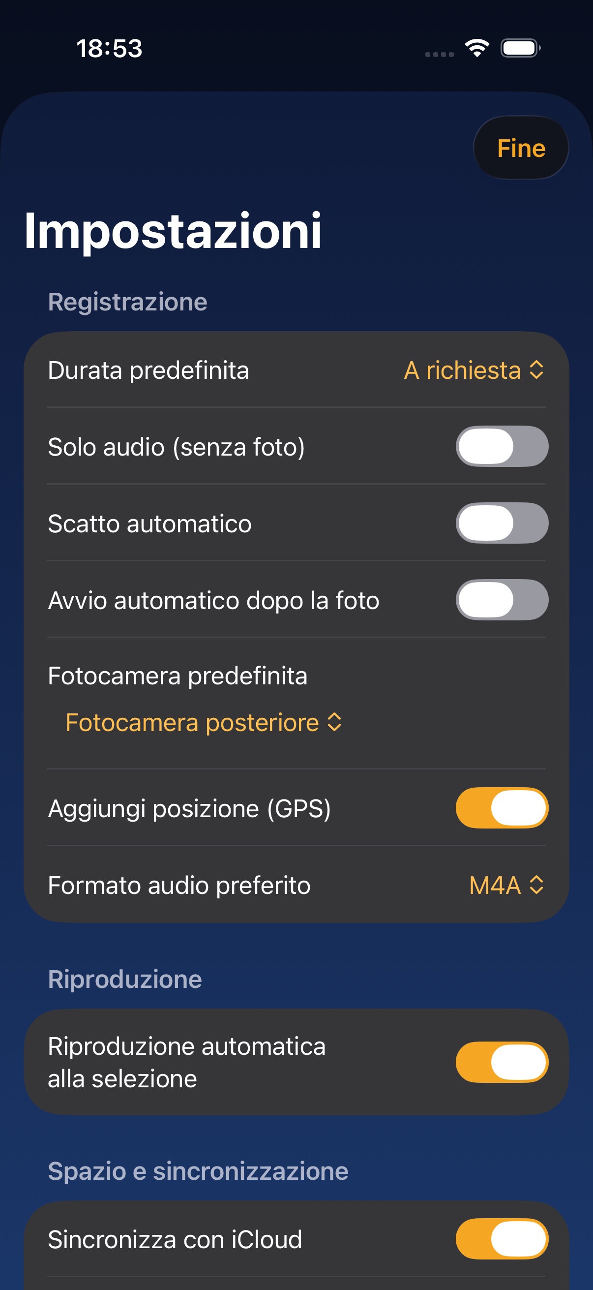 Impostazioni — preferenze di registrazione